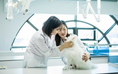 [2020수시] 수도권 전문대학 34개교.. ‘특성화대학 주목’